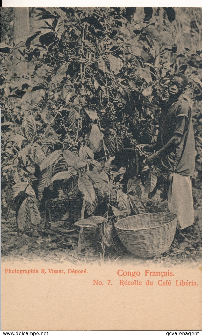 CONGO FRANCAIS    RECOLTE DU CAFE LIBERIA             2 SCANS - Congo Francés