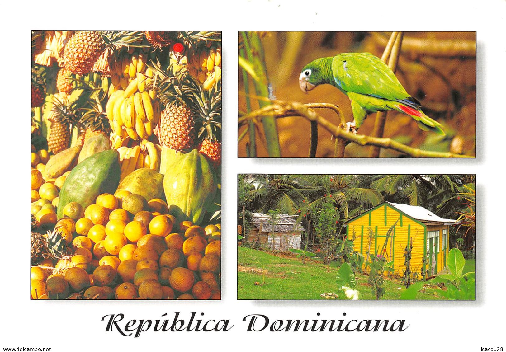 REP. DOMINICAINE "COTORRA" TBE / VOIR SCAN RECTO-VERSO - República Dominicana