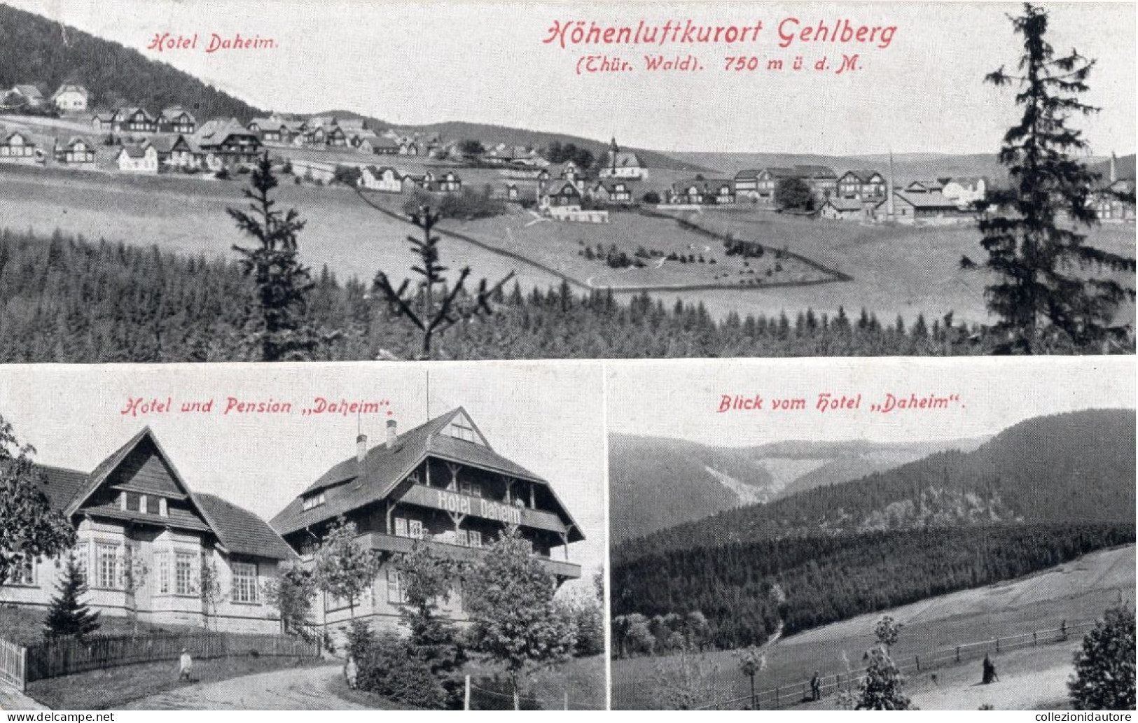 HÖHENLUFTKURORT GEHLBERG - HOTEL UND PENSION DAHEIM - CARTOLINA FP SPEDITA NEL 1931 - Arnstadt