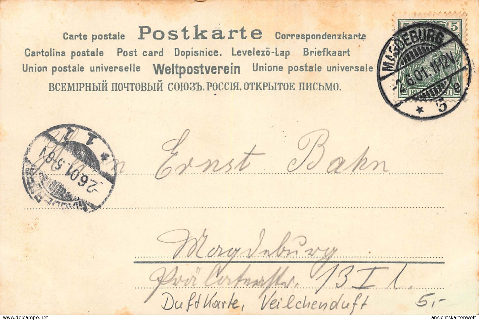 Duftkarte: Postkarte Mit Veilchenduft Gl1901 #161.464 - Autres & Non Classés