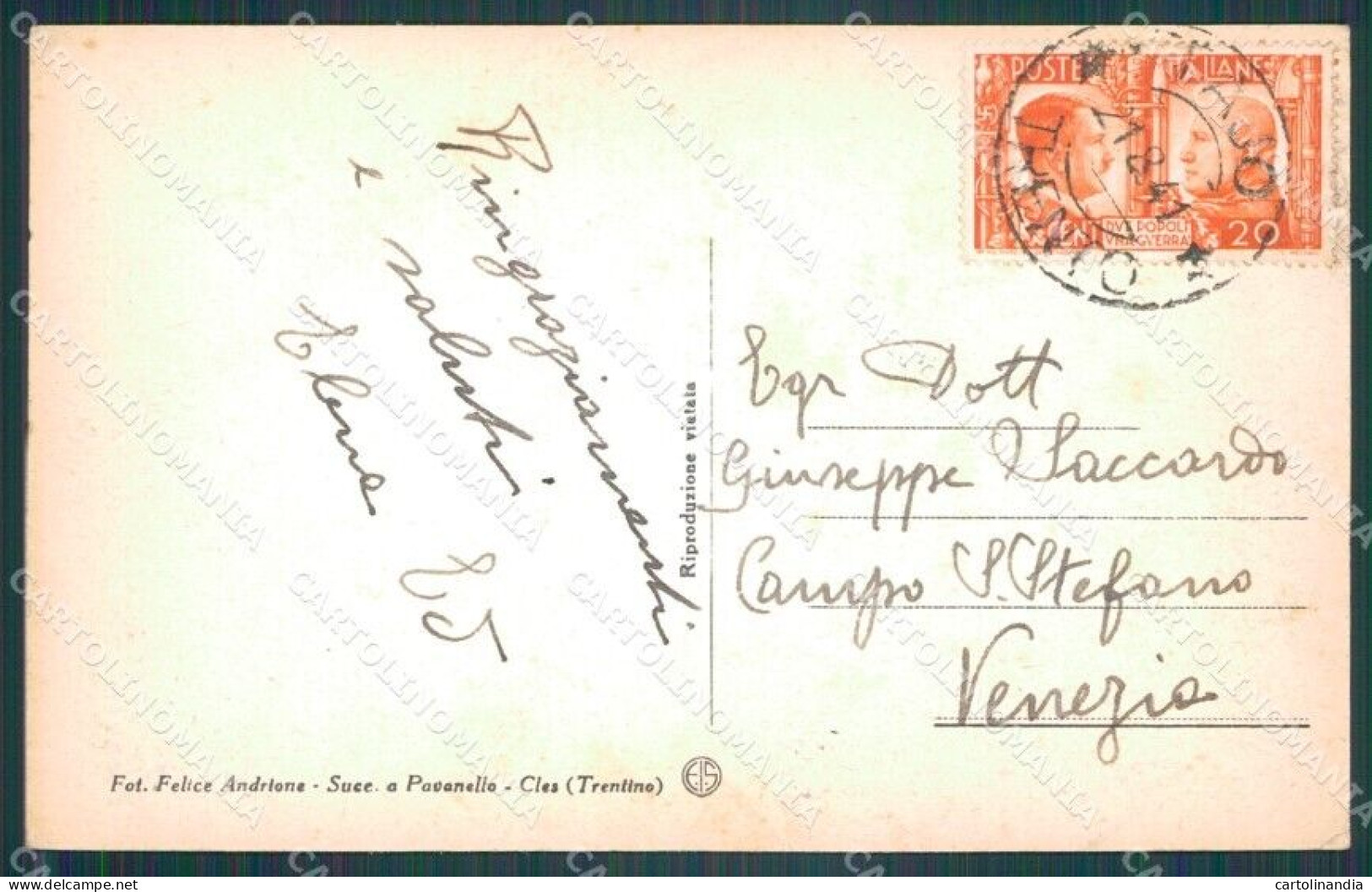 Trento Taio Cartolina VK1908 - Trento