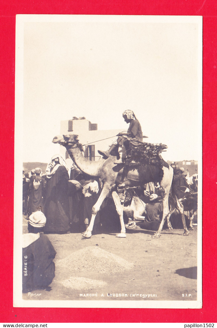 E-Egypte-180Ph108  Carte Photo, Marché à Louqsor, Homme Sur Un Dromadaire, Cpa Précurseur BE - Louxor