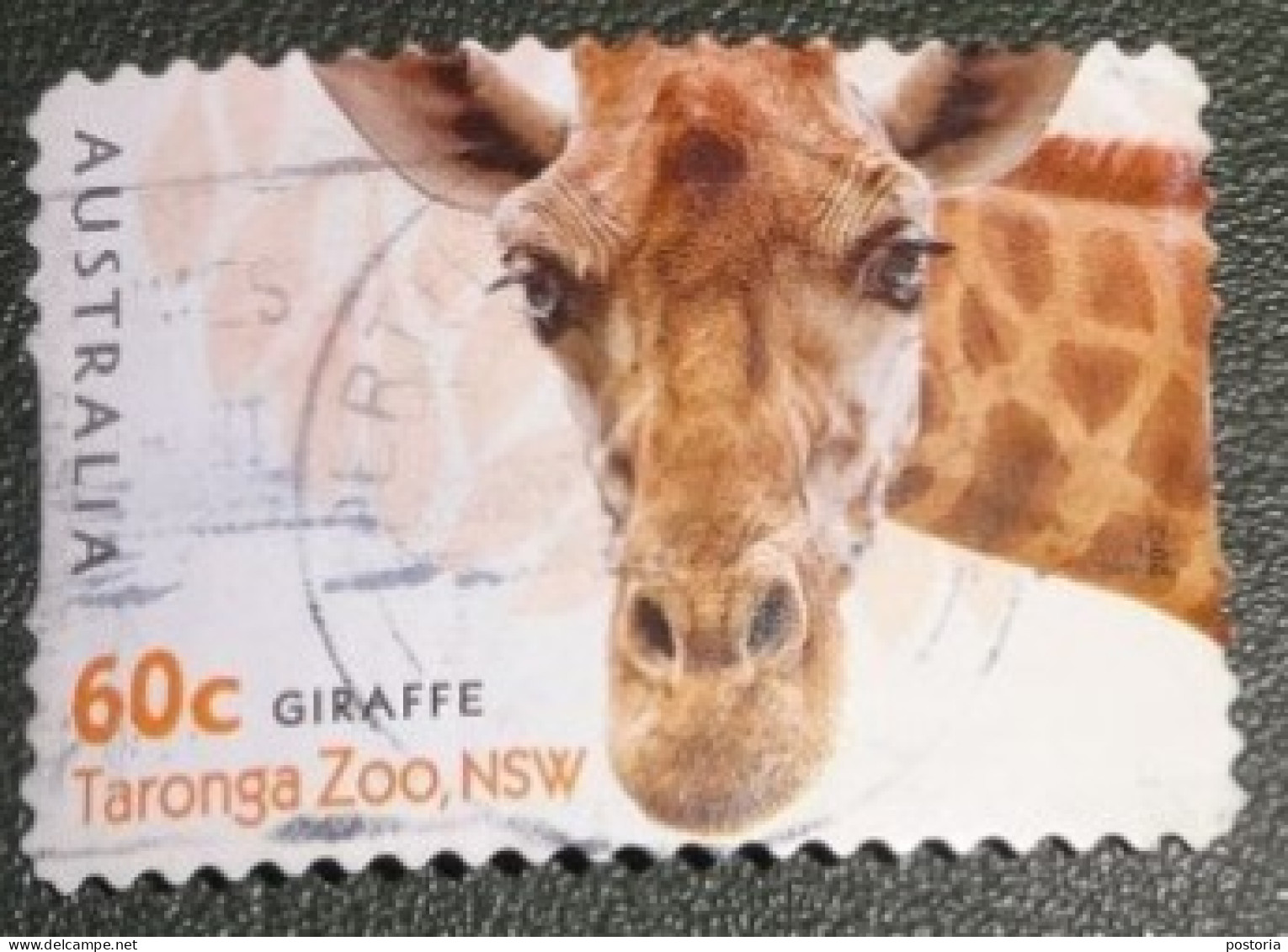 Australië - Michel 3825 - 2012 - Gebruikt - Used - Taronga Zoo NSW - Giraffe - Used Stamps