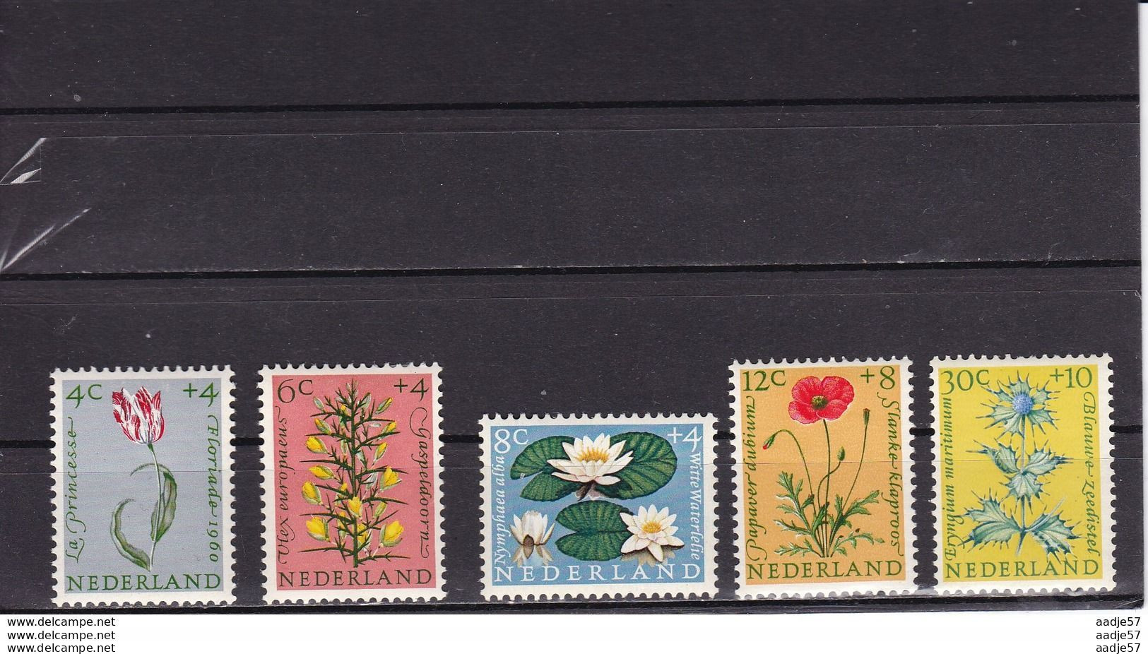 1960 NETHERLANDS SUMMER FLOWERS MICHEL: 746-750 Nvph Nr 738 Tm 742 MH* - Unused Stamps