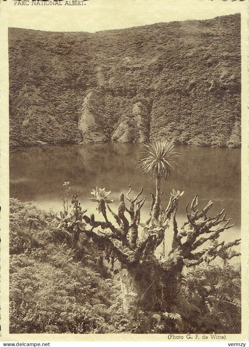 Volcan VISOKE (Parc National Albert) : Le Lac-cratère - Rwanda