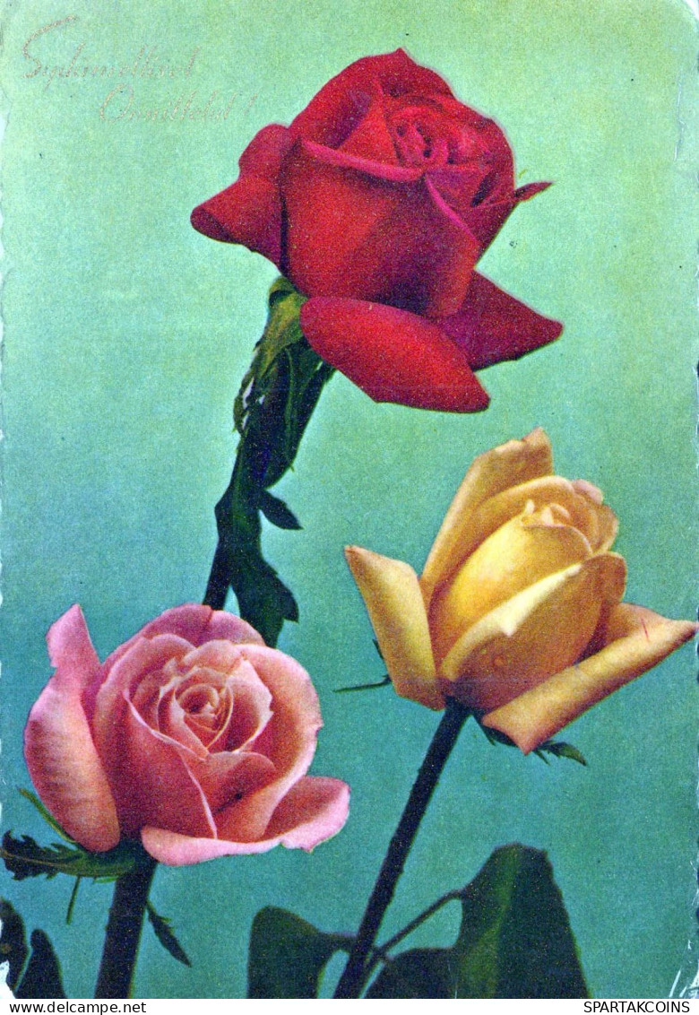 FIORI Vintage Cartolina CPSM #PAS011.A - Flowers