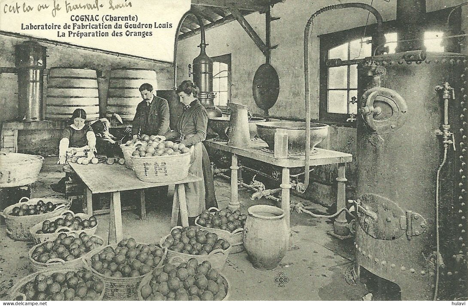 16  COGNAC - LABORATOIRE DE FABRICATION DU GOUDRON LOUIS - LA PREPARATION DES ORANGES (ref 682) - Cognac