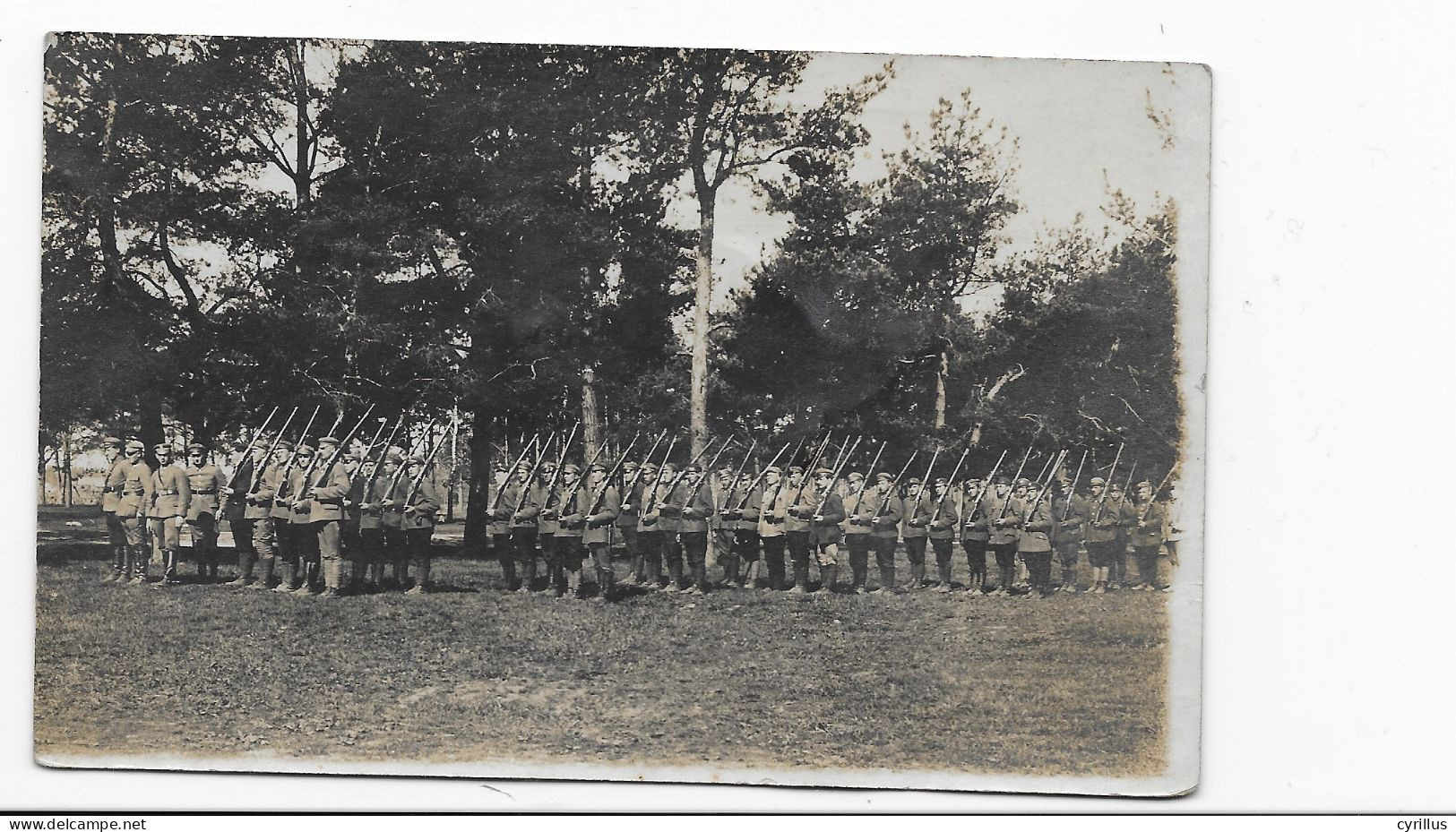 POLOGNE MILITARIA - DOWODZTWO 111 BATALIONU - Carte Photo - Polonia