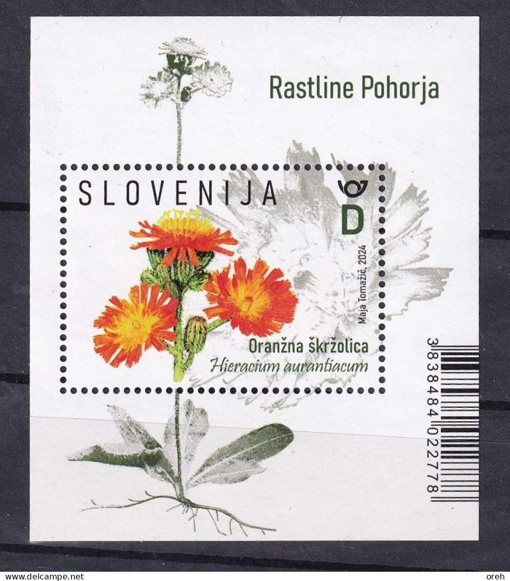 SLOVENIA 2024,FLORA,PLANTS OF THE POHORJE,HIERACIUM,BLOCK,,MNH - Slovénie