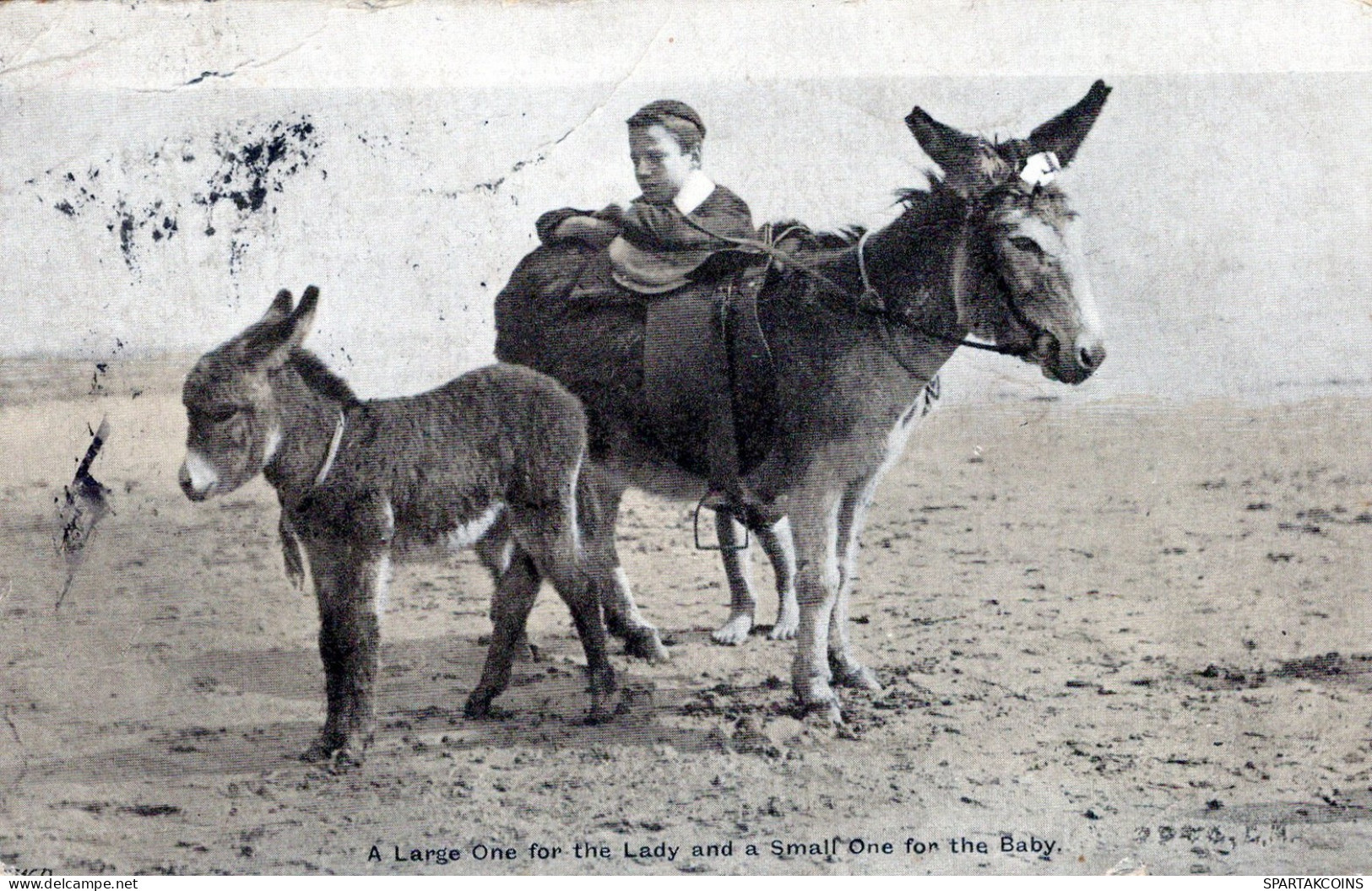 ÂNE Animaux Enfants Vintage Antique CPA Carte Postale #PAA336.A - Donkeys