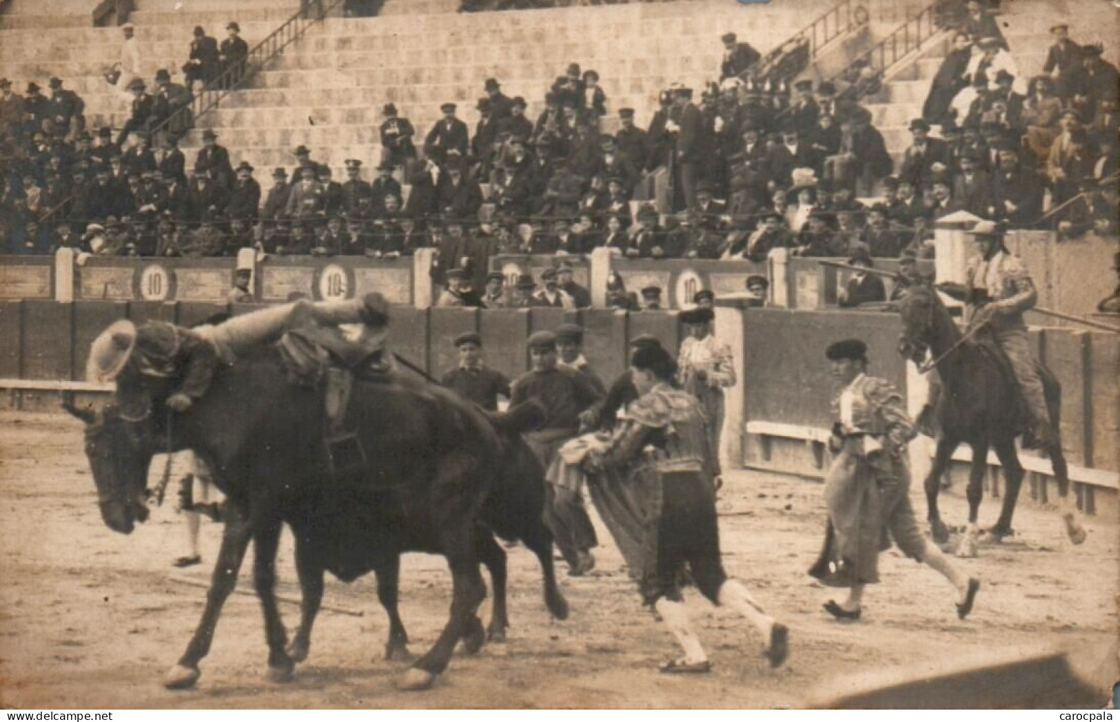 Carte Photo Vers 1900 Corrida Non Située - Corridas