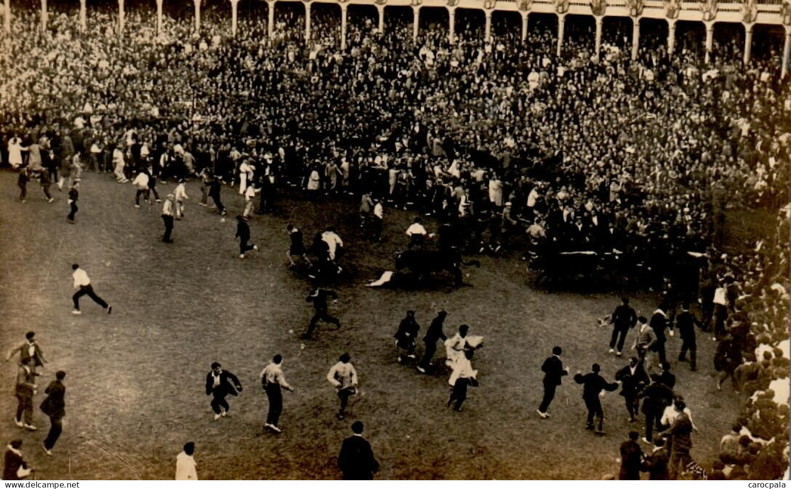 5 Cartes Photos Vers 1930 ? Corrida Non Située - Corridas