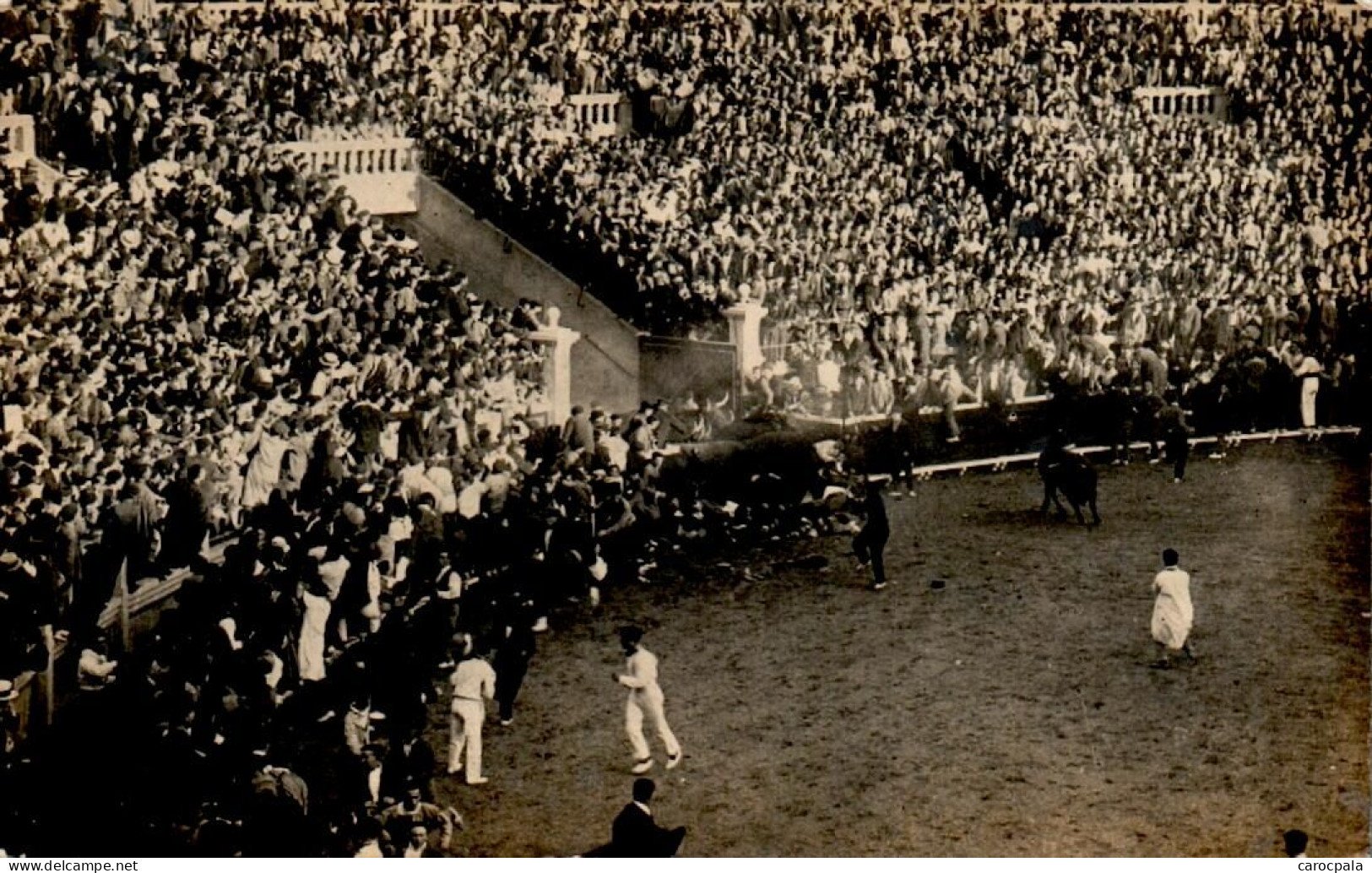 5 Cartes Photos Vers 1930 ? Corrida Non Située - Stierkampf