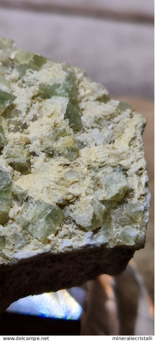Minerale@Fluorite Cubica Verde Gilbelbach Fiesch Vallese Svizzera Scolecite Raro - Minerals