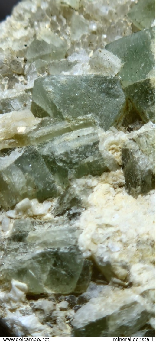 Minerale@Fluorite Cubica Verde Gilbelbach Fiesch Vallese Svizzera Scolecite Raro - Minerales