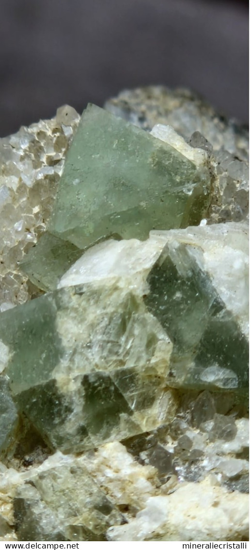 Minerale@Fluorite Cubica Verde Gilbelbach Fiesch Vallese Svizzera Scolecite Raro - Minéraux