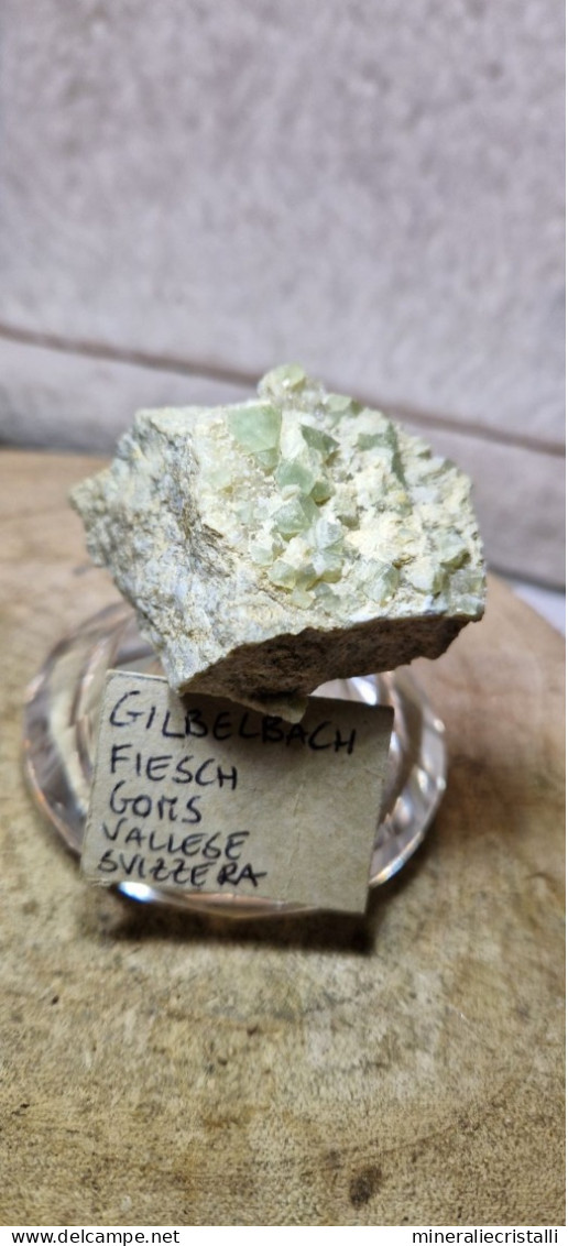 Minerale@Fluorite Cubica Verde Gilbelbach Fiesch Vallese Svizzera Scolecite Raro - Minéraux