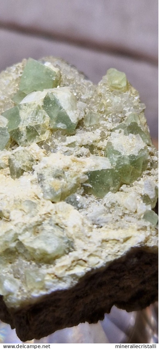 Minerale@Fluorite Cubica Verde Gilbelbach Fiesch Vallese Svizzera Scolecite Raro - Mineralen