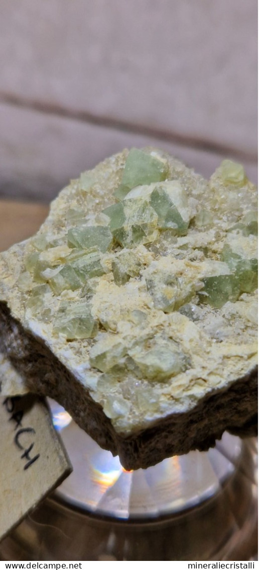 Minerale@Fluorite Cubica Verde Gilbelbach Fiesch Vallese Svizzera Scolecite Raro