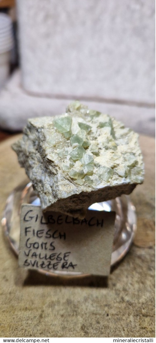 Minerale@Fluorite Cubica Verde Gilbelbach Fiesch Vallese Svizzera Scolecite Raro