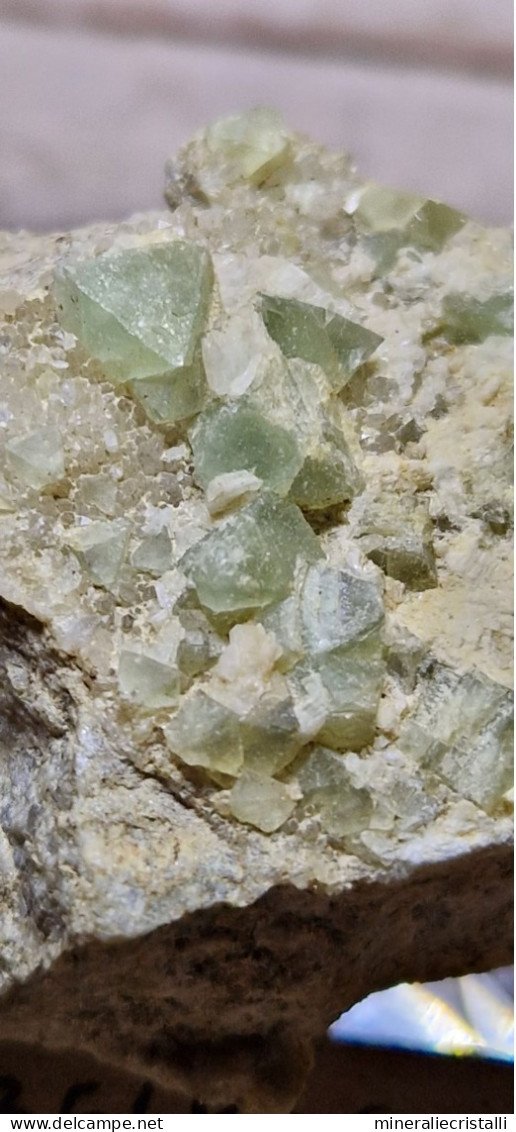 Minerale@Fluorite Cubica Verde Gilbelbach Fiesch Vallese Svizzera Scolecite Raro