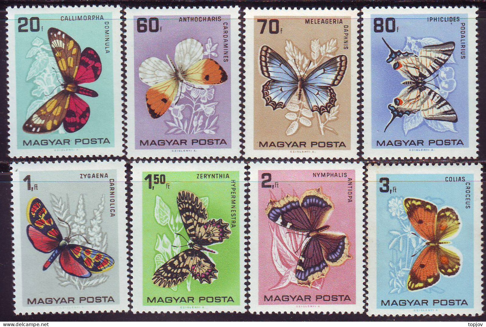 HUNGARY - BUTTERFLIES - **MNH . 1966 - Papillons