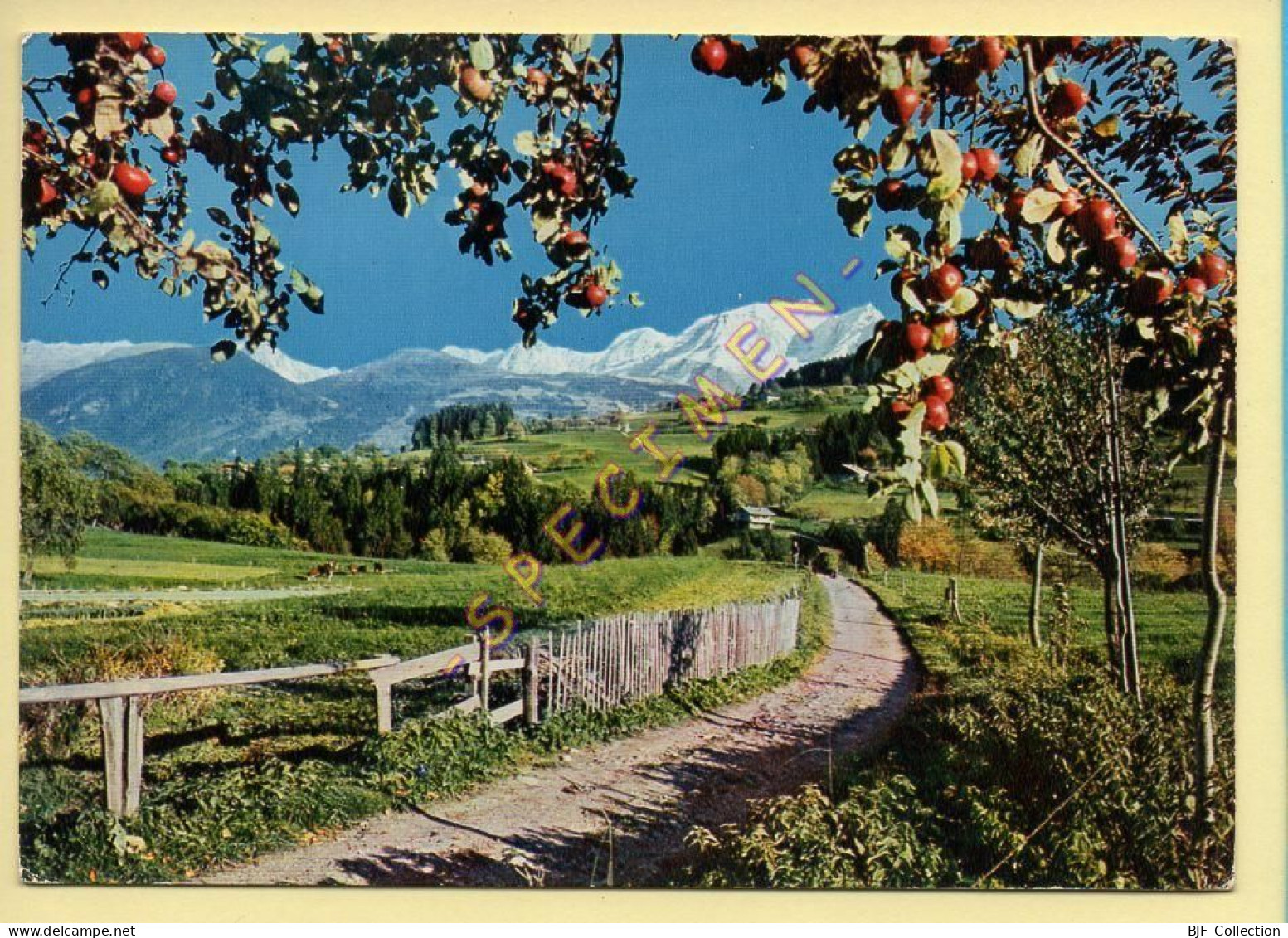 74. COMBLOUX – L'Eté Dans Les Alpes – Au Pays Du Mont-Blanc (voir Scan Recto/verso) - Combloux