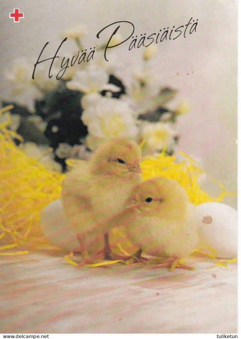 Postal Stationery - Chicks - Eggs - Happy Easter - Red Cross 1993 - Suomi Finland - Postage Paid - Postal Stationery