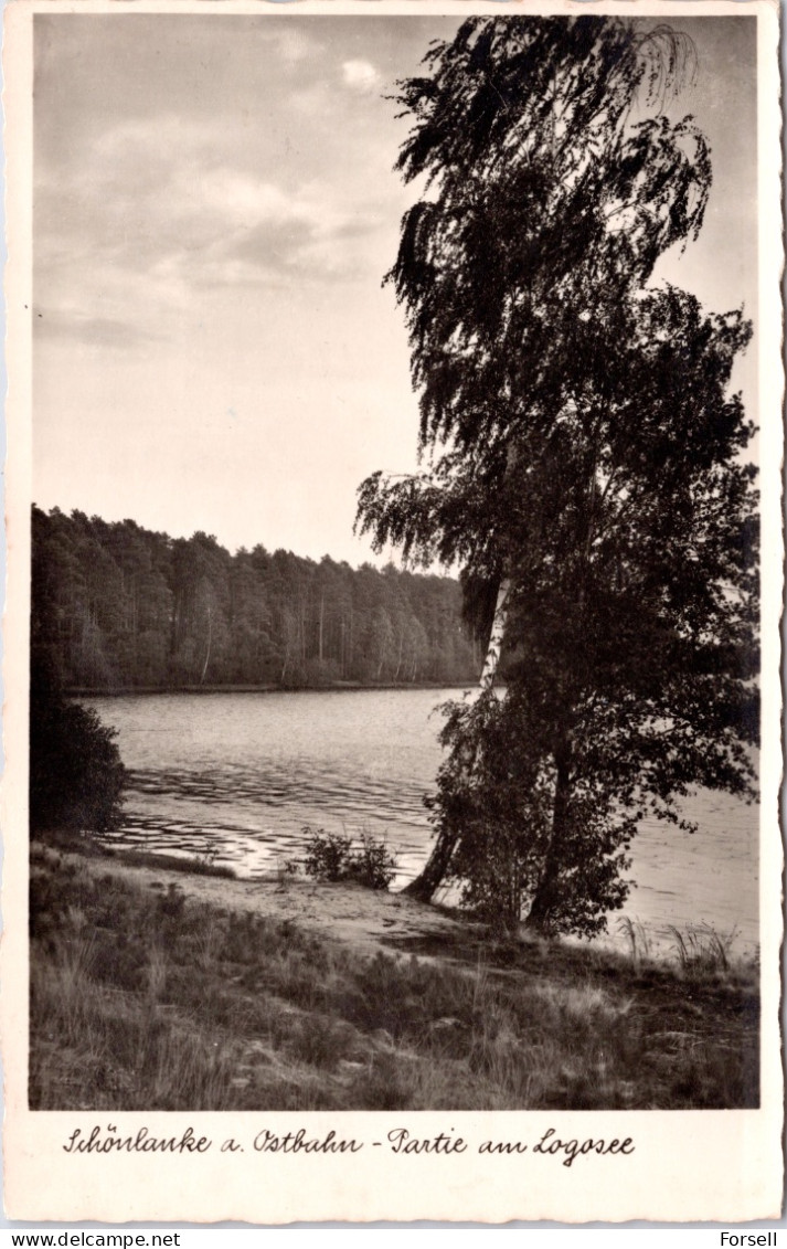 Schönlanke A. Ostbahn , Partie Am Logosee (Trzcianka, Poland) (Ungebraucht) - Posen