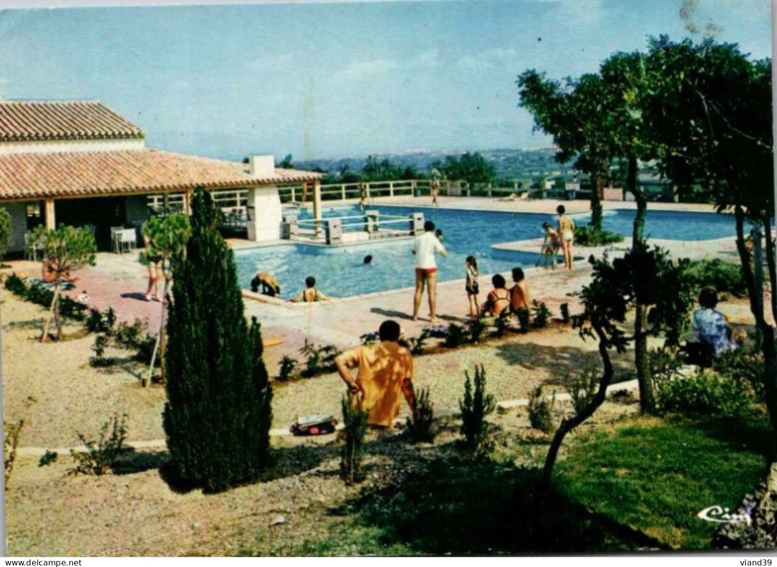 ROQUEBRUNE Sur ARGENS  - Domaine Des Baux : La Piscine     Cachet Postal. 1984 - Roquebrune-sur-Argens