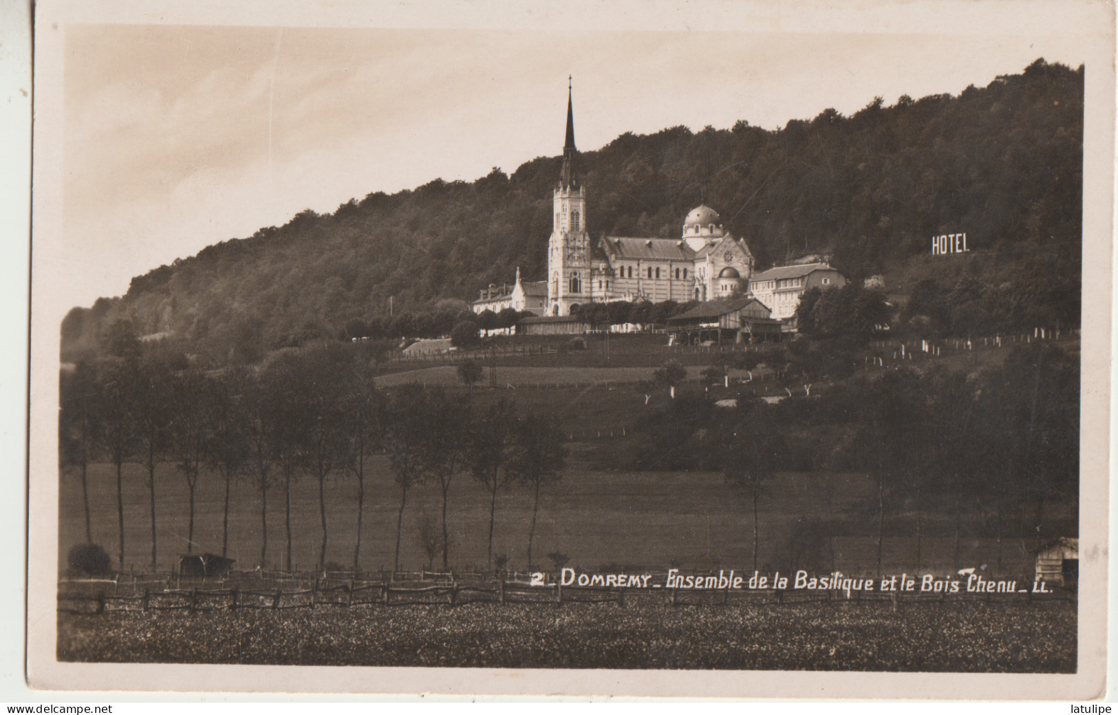 Domremy 88 Carte NON Circulée Vue D'Ensemble De La Basilique  Et Le Bois  Chenu - Domremy La Pucelle