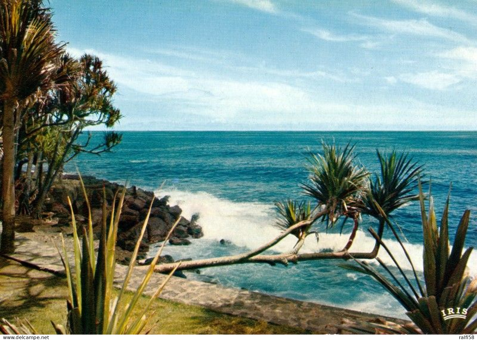 1 AK Insel Réunion * Bords De Mer Aux Environs De St-Philippe - Übersee-Departement Von Frankreich Im Indischen Ozean * - Riunione