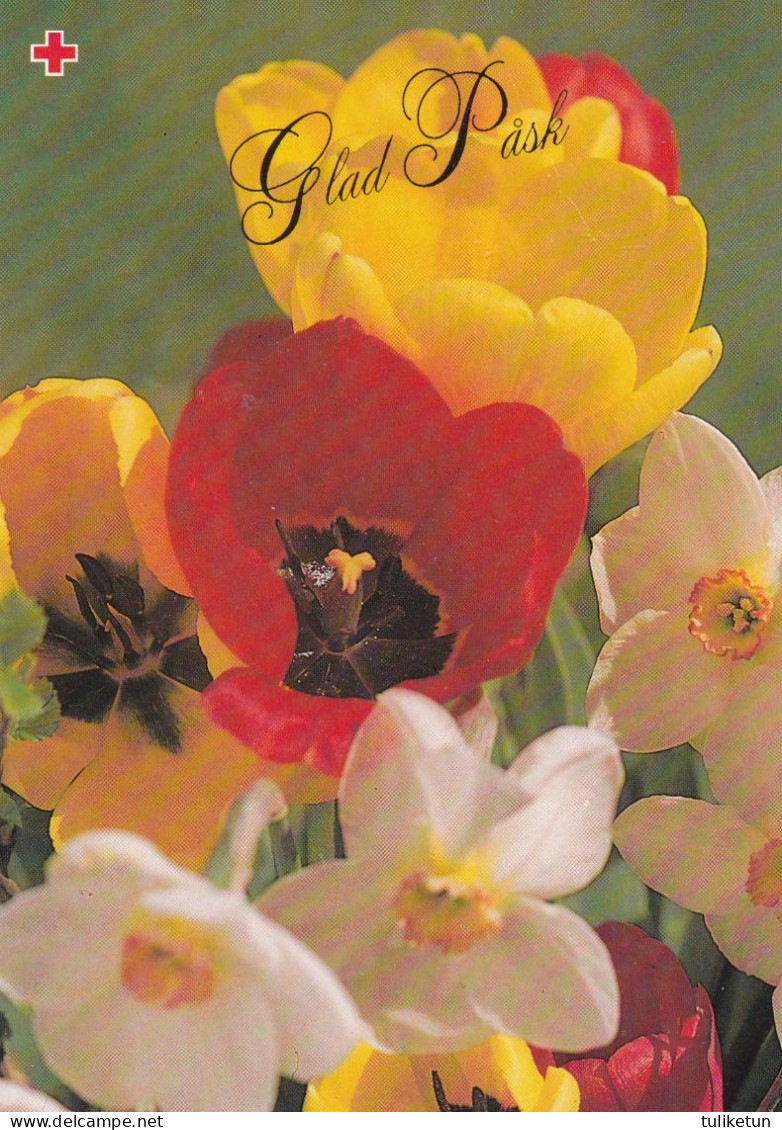 Postal Stationery - Easter Flowers - Daffodils - Red Cross 1993 - Suomi Finland - Postage Paid - Postal Stationery