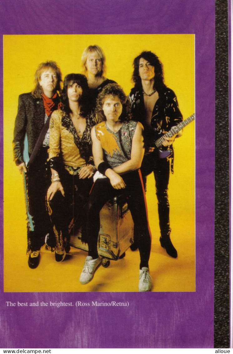 AEROSMITH DE MARTIN HUXLEY (1995) - THE FALL AND RISE OF ROCKS GREATEST BAND - TOYS IN THE ATTIC - Cultural