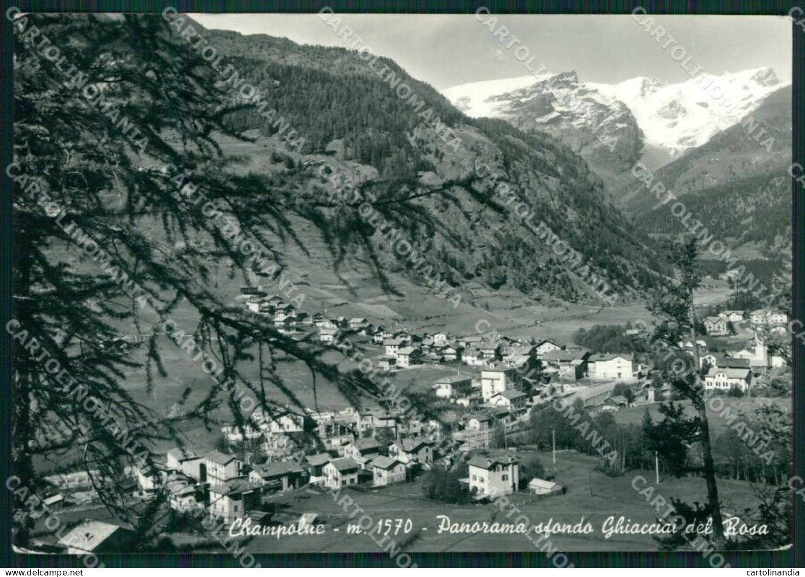 Aosta Ayas Champoluc Ghiacciai Del Rosa Foto FG Cartolina KB1826 - Aosta