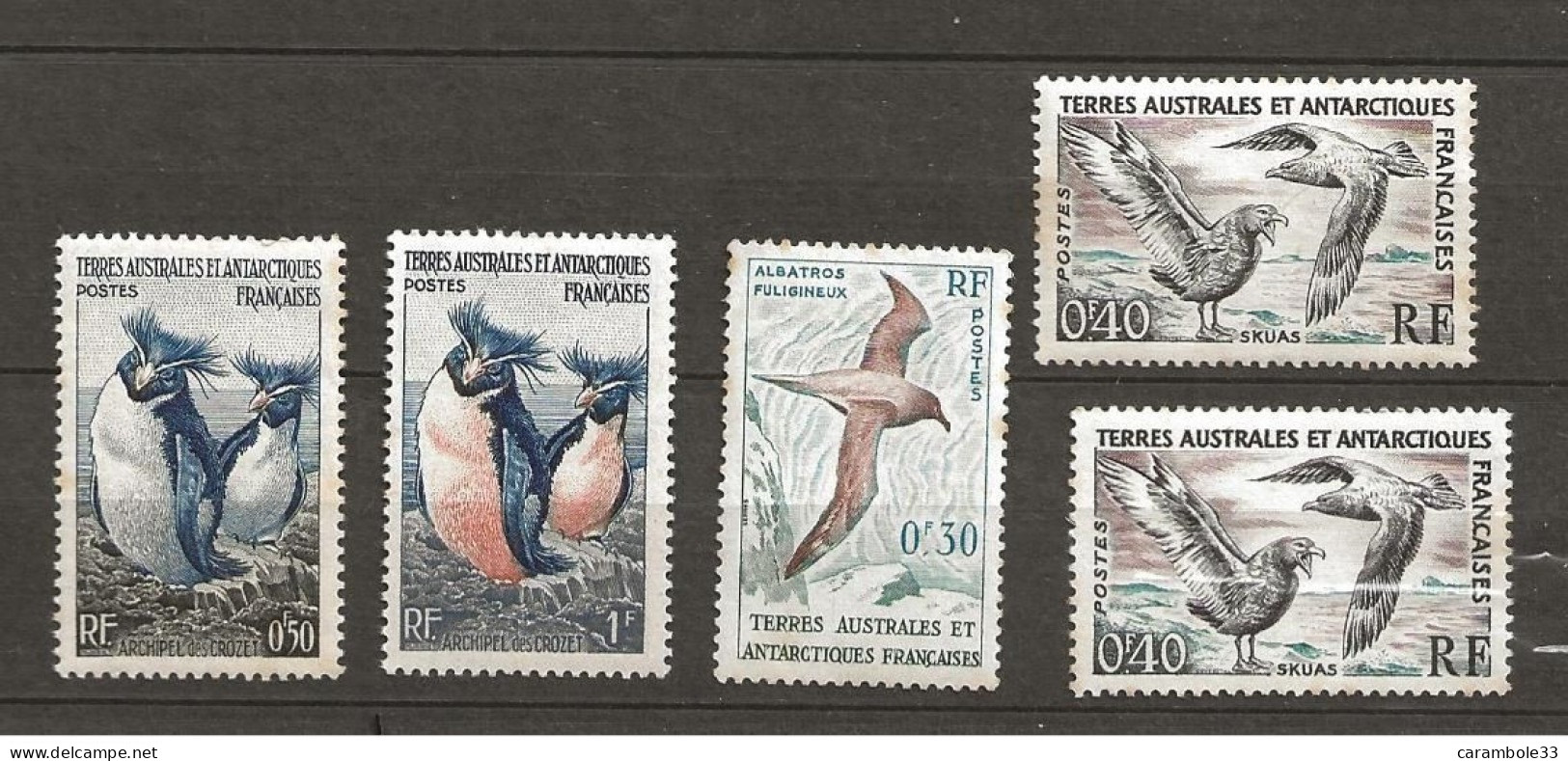 TIMBRE  TERRES AUSTRALES   ET ANTARCTIQUES   Neuf   (1508) - Unused Stamps