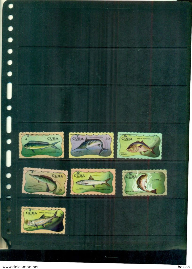 CUBA  PECHE SPORTIVE POISSONS 7 VAL NEUFS A PARTIR DE 1,50 EUROS - Unused Stamps