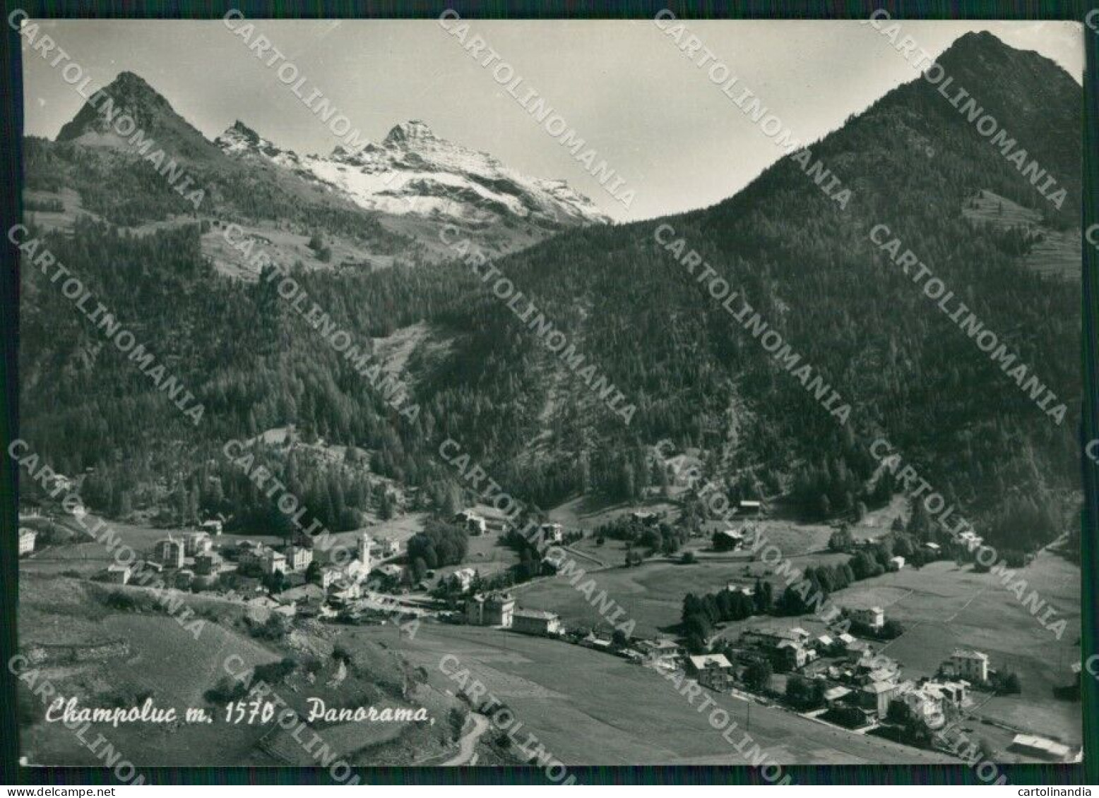 Aosta Ayas Champoluc PIEGHINA Foto FG Cartolina KV8062 - Aosta