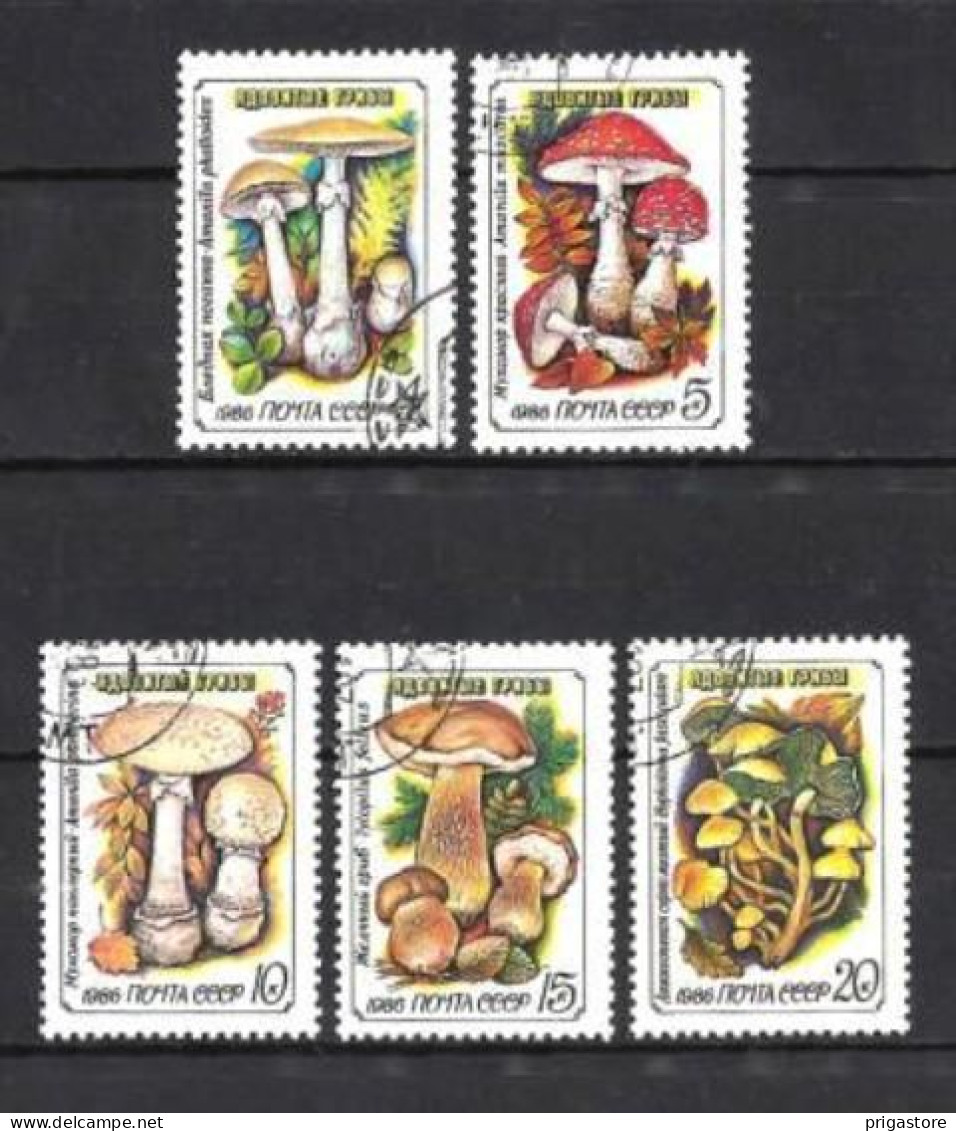 Champignons Russie URSS 1986 (38) Yvert N° 5304 à 5308 Oblitérés Used - Hongos