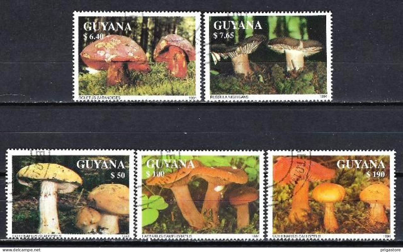 Champignons Guyana Guyane 1991 (44) Yvert N° Non Répertorié Oblitérés Used - Champignons