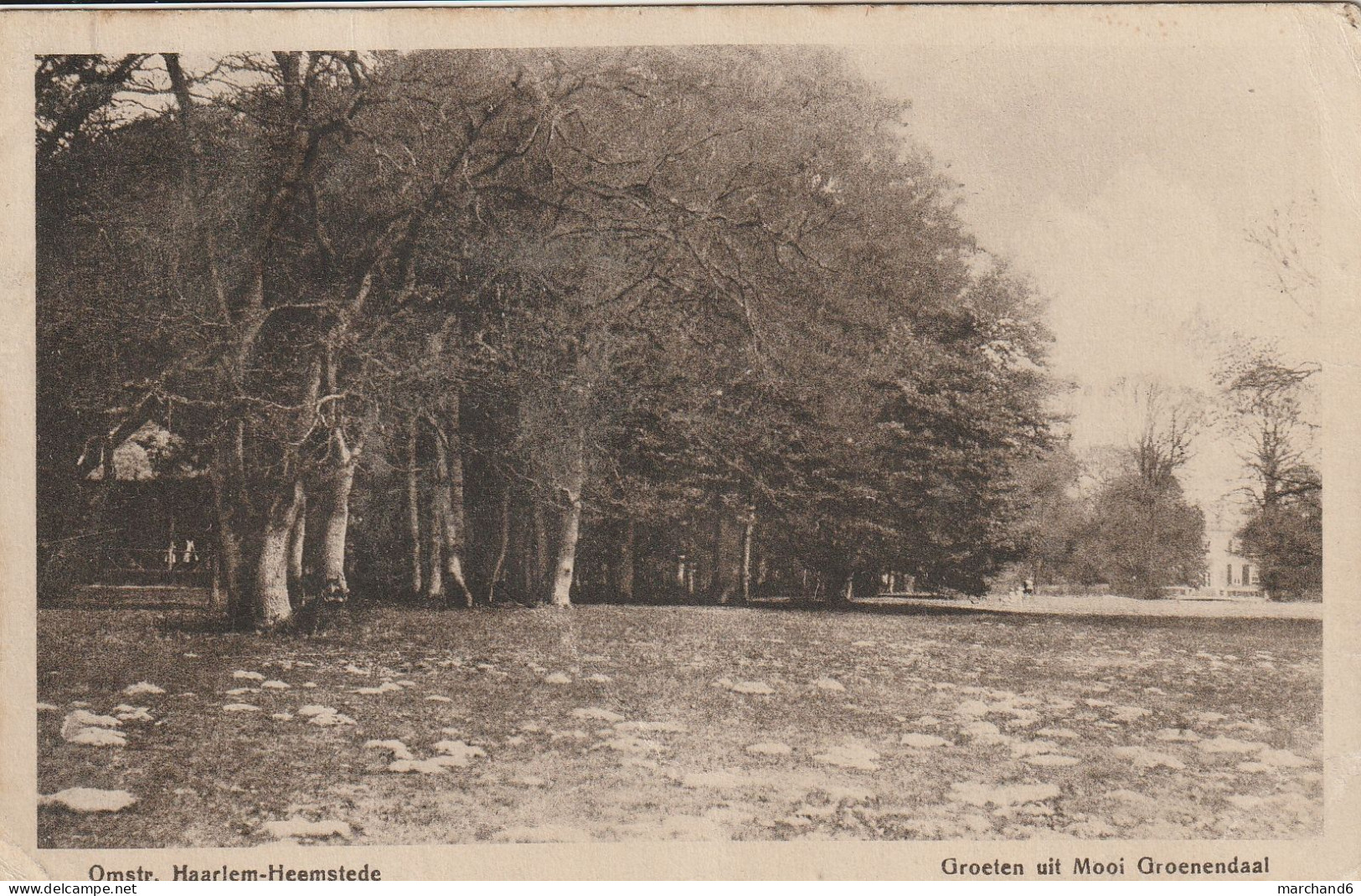 Pays Bas Omstr Haarlem Heemstede Groelen Uit Mooi Groenendaal édition J H Schaefer's - Haarlem