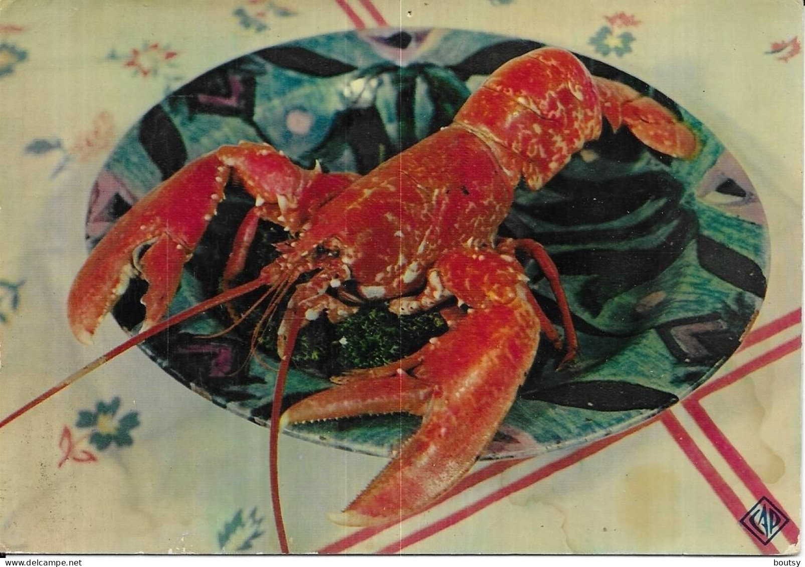 Homard - Pesci E Crostacei