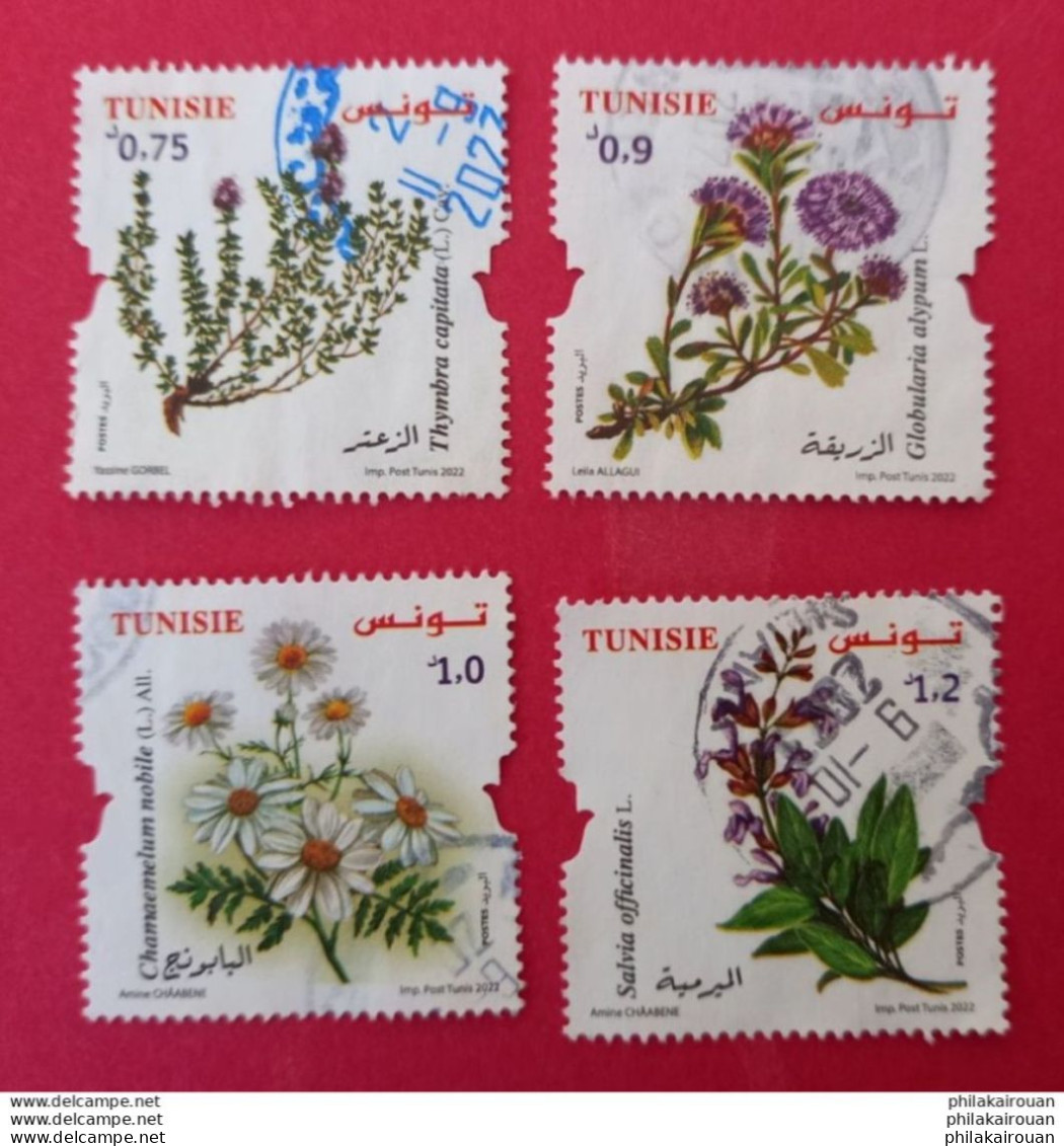 Tunisia 2022 Tunisie -medicinal Plants  Plantes Médicinales - Tunisia (1956-...)