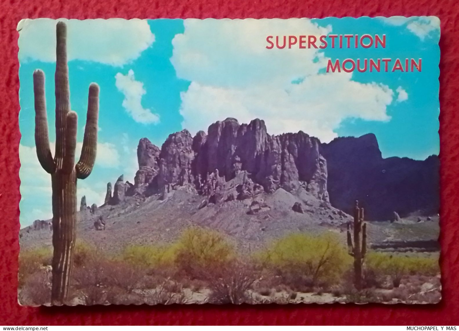 POSTAL POST CARD SUPERSTITION MOUNTAIN MONTAÑA DE LA SUPERSTICIÓN NEAR MESA ARIZONA USA..CACTUS EEUU ESTADOS UNIDOS... - Mesa