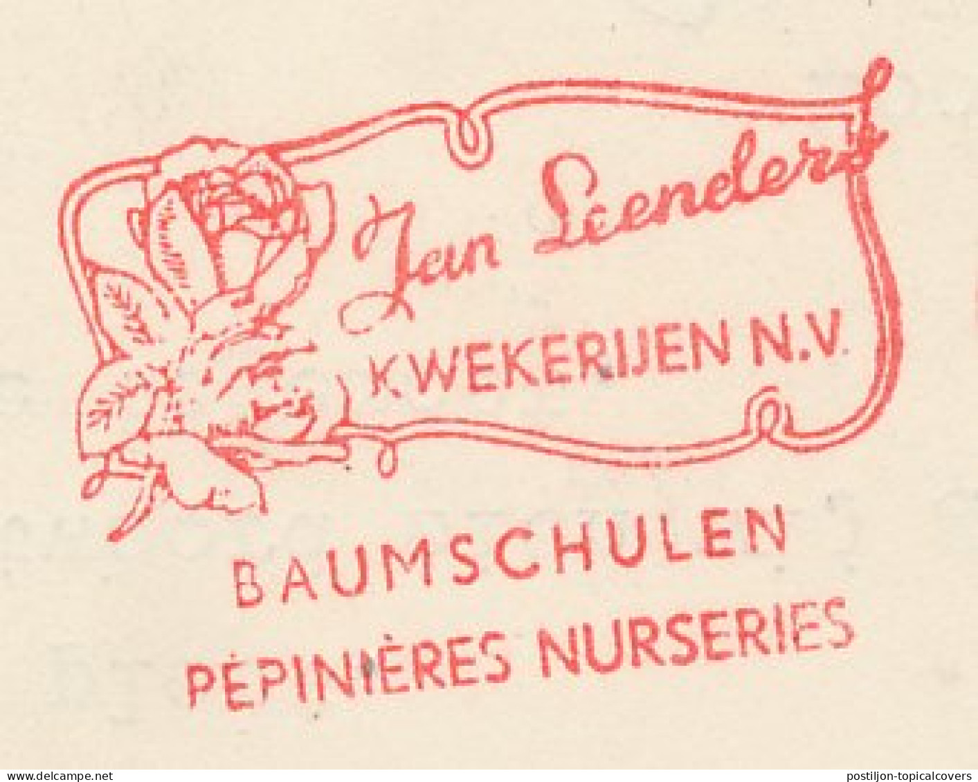 Meter Card Netherlands 1963 Flower - Rose - Tegelen - Other & Unclassified