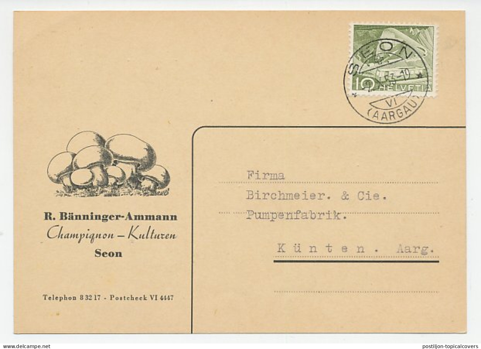 Illustrated Card Switzerland 1953 Mushroom - Champignons