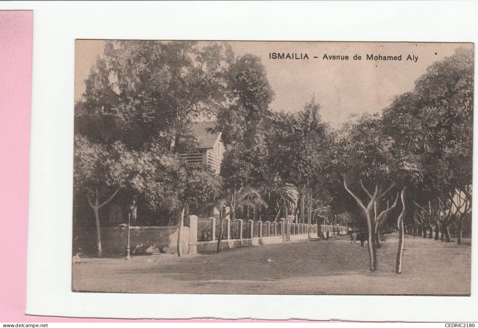 ISMAILIA AVENUE DE MOHAMED ALY - Ismaïlia