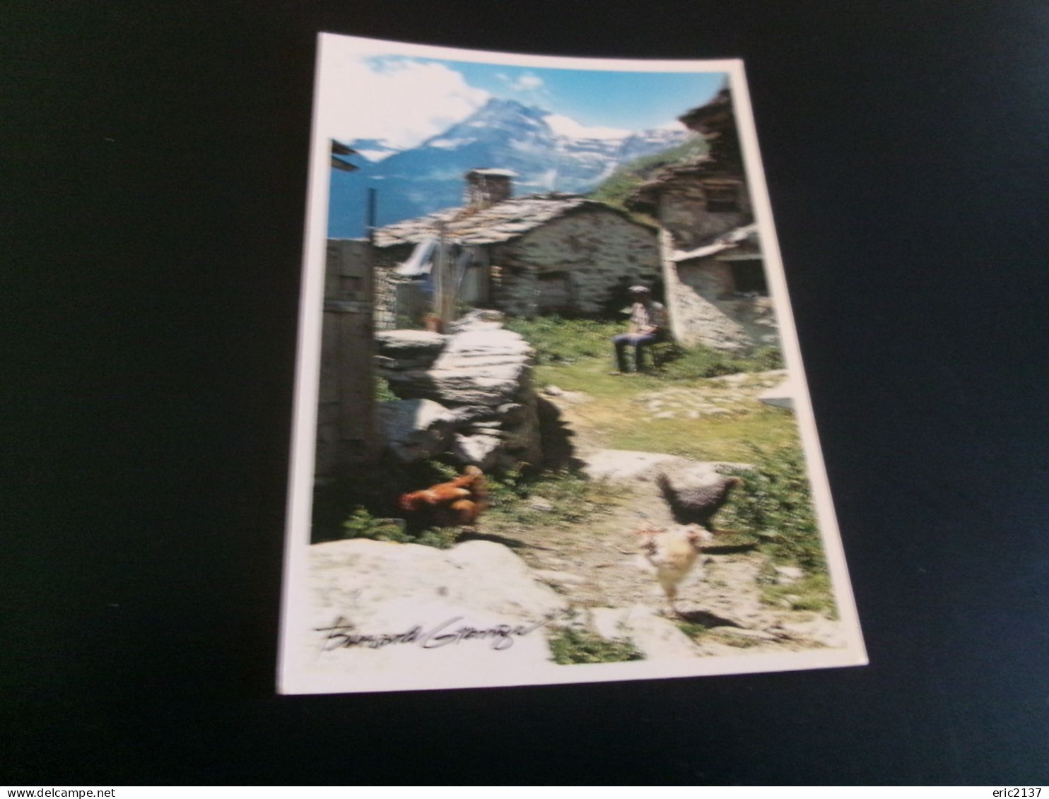 BELLE CARTE PHOTO..DE BERNARD GRANGE......PAYSAGE DE MONTAGNE..POULES ET MAISONS - Autres & Non Classés