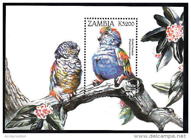 Zm9955 Zambia, Parrots And Cockatoos (Mulda Parakeet) - Zambie (1965-...)