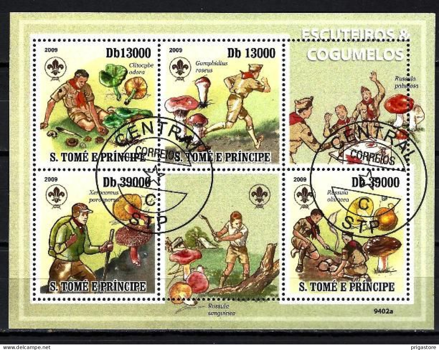 Saint Thomas Et Prince 2009 Champignons (55) Yvert N° 3118 à 3121 Oblitérés Used - Sao Tome And Principe
